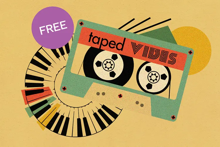 Steinberg Taped Vibes 2 HI