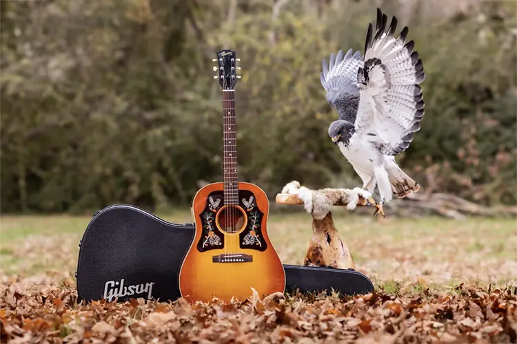 Gibson Margo 5 HI