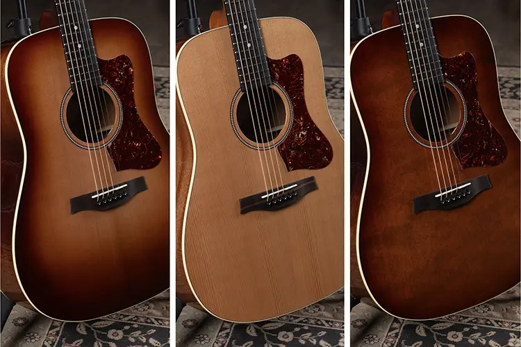 Godin guitarras 2 HI