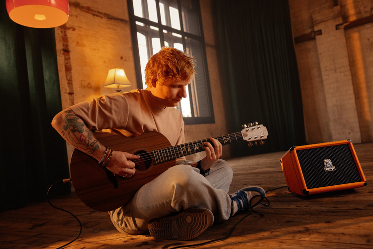ed guitar 750x500