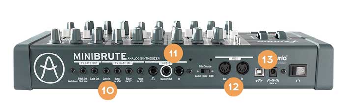 Minibrute Back