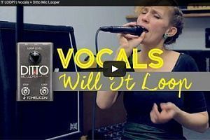 Loops vocal2